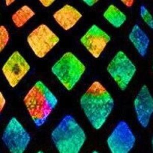 Meet your Posher, Lilli